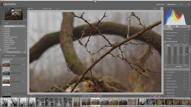 Workflow Walkthrough #16 - Forest in the Fog смотреть онлайн