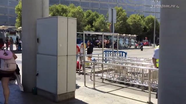 Как добраться и доехать из аэропорта Пальма-Де-Майорка в Испании до города в 2021 году смотреть онлайн