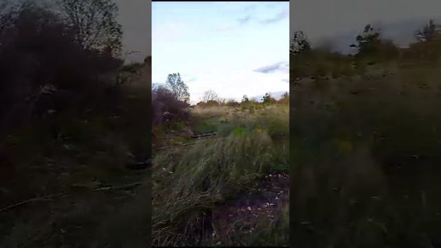 Такие видео позволяют консультировать удалённо смотреть онлайн