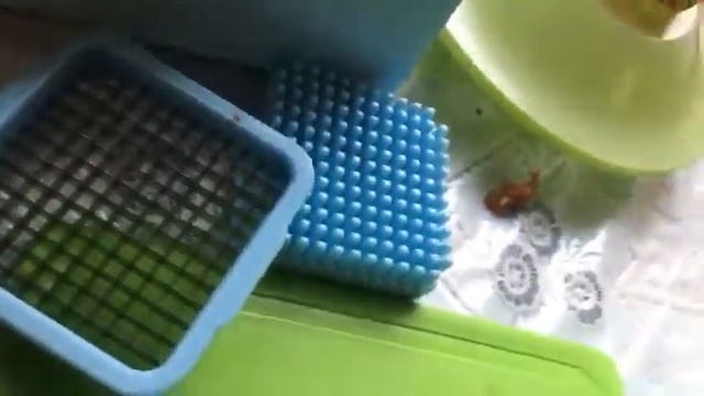 Овощерезка от FABERLIC! Отзыв Лидера Фаберлик Ирины Бацека!