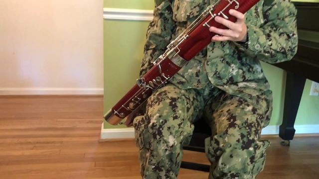 1st Lesson: Bassoon смотреть онлайн