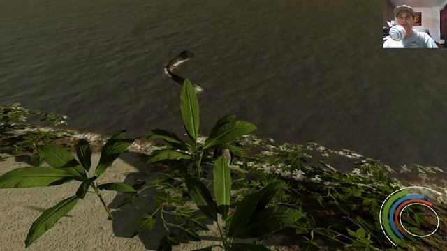 SAURIAN Early Access Steam game Review by Xzulas смотреть онлайн