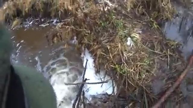 First Trophies.Первые трофеи.