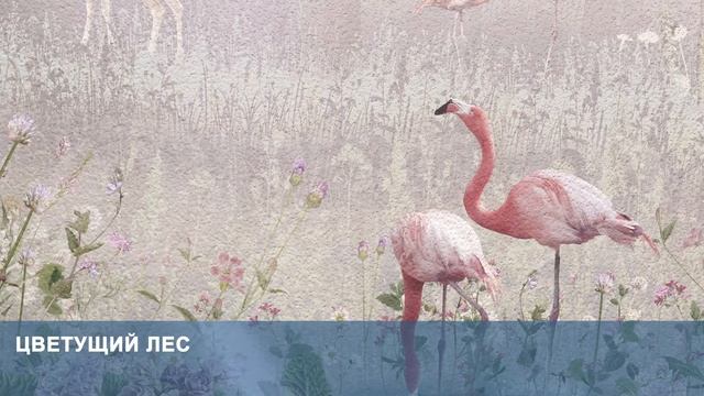 3D Фотообои «Цветущий лес» смотреть онлайн