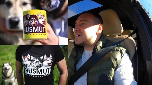 МАЛАМУТ СПАСЕН / нашли хозяина собаки смотреть онлайн