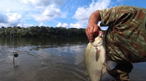 Эта снасть на леща, не дает ему шансов. Переоснащение пружин. Рыбалка с ночёвкой.