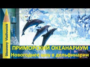ПРИМОРСКИЙ ОКЕАНАРИУМ 🐬 Новогоднее шоу в дельфинарии