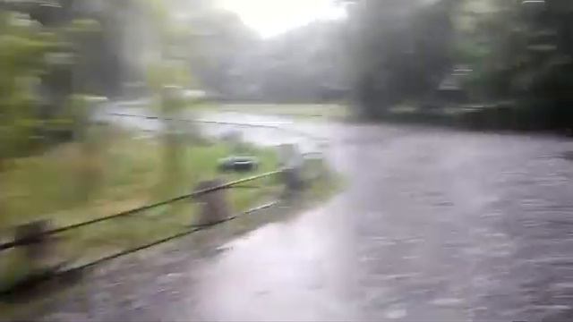 Лето. СПб. Град 22.07.17