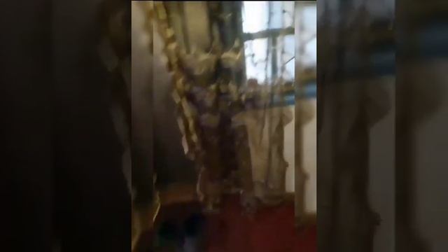 Умные аппараты для многих случаев