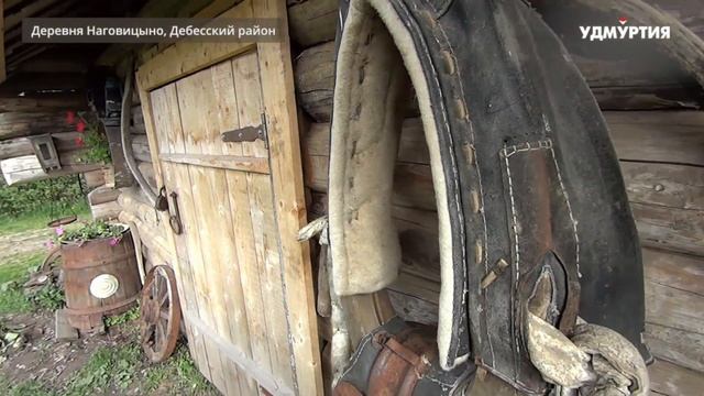 "Золотая подкова" в Дебесском районе смотреть онлайн