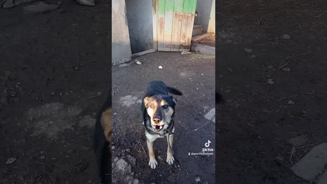 2023-10-29-080326029.mp4