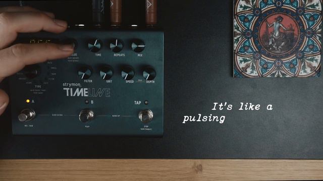 Strymon Timeline Pattern Delay- Pattern 1 [T009]