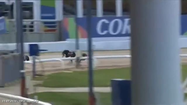 BUBBLY HOMER Wins Her Race In Trap 2 At Romford 11/7/2020 xxx смотреть онлайн
