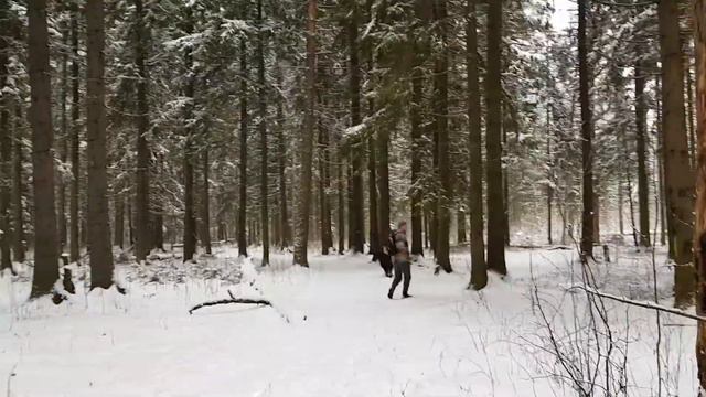 Ньюфий леший смотреть онлайн