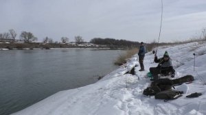 Поехали на рыбалку на реку Дон посмотреть обстановку по рыбе