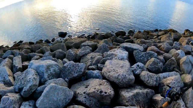 Fishing The South Levee on Sabine Lake for specks смотреть онлайн