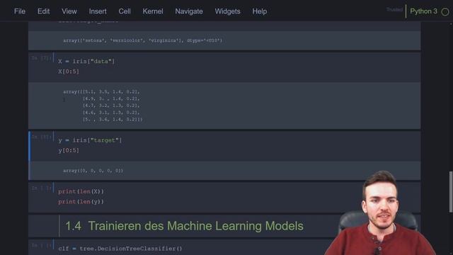 Dein erstes Machine Learning Model! | Iris Klassifikation | Machine Learning von Null auf Hundert! смотреть онлайн