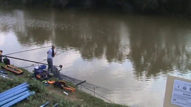 Sorti carpa Castelfranco di sotto смотреть онлайн