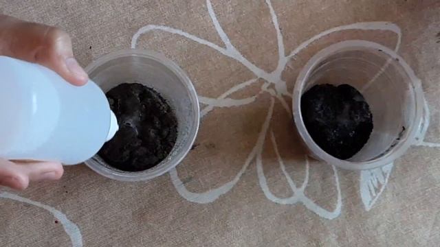 Исследование плодородности почвы (эксперимент) смотреть онлайн