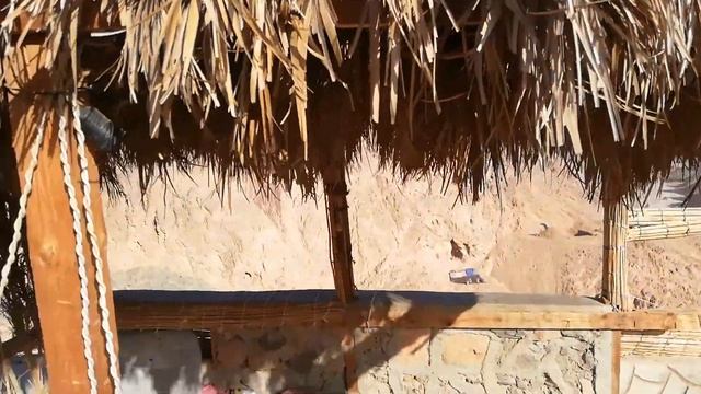 Отдых в Египте Шарм-эль-шейх Regency Plaza Aqua Park & Spa апрель 2019 смотреть онлайн