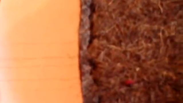 Тапочки на войлочной подошве. смотреть онлайн