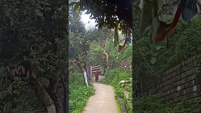 Прогулка вокруг резиденции Далай Ламы Дхарамсала Индия