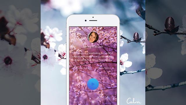 Calm Sleep Stories | Spring In Bloom | Trailer