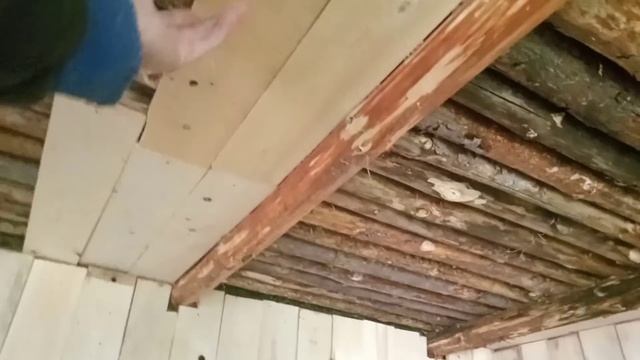 Вот это поворот! Пришёл строить ИЗБУ, но тут... Полный разнос! смотреть онлайн