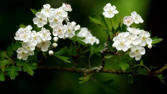 Морщинки у глаз. Стихи под гитару. T.Kardapolov. Wrinkles around the eyes. Poems with a guitar. смотреть онлайн