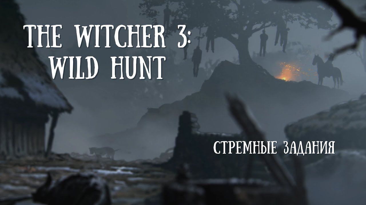 НЕОДНОЗНАЧНЫЕ ДЕРЕВЕНСКИЕ ИСТОРИИ | THE WITHER 3: WILD HUNT #6