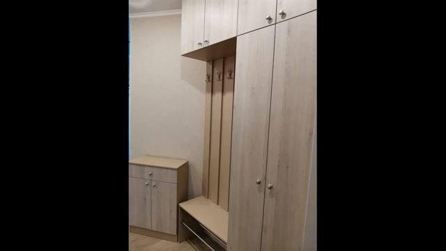 Шкаф в прихожую из ЛДСП EGGER смотреть онлайн