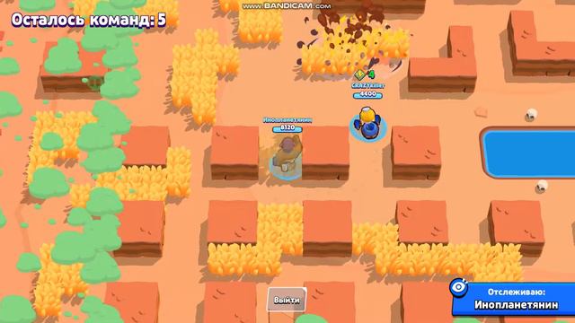 Эль Примо, хочешь жить? - борись за жизнь! | Brawl Stars смотреть онлайн