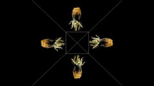 Видео для 3Д пирамиды  Голограмма для телефона