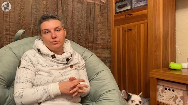 Что случилось, Усы? Как познакомить собаку с кошкой смотреть онлайн