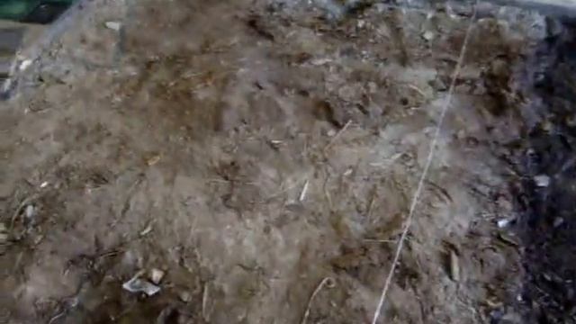 как я своими руками вывожу землю что б потом сделать песчаною подушку. для пола смотреть онлайн