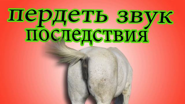 пердеть звуковые эффекты #21 смотреть онлайн
