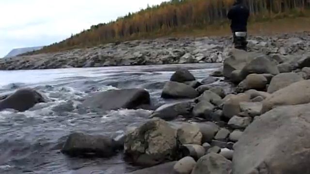 Колыбель таёжной дали 6часть.flv смотреть онлайн