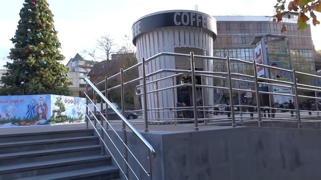 Анютины глазки на клумбах Лазаревского под новогодней елкой. 18 декабря 2018 смотреть онлайн