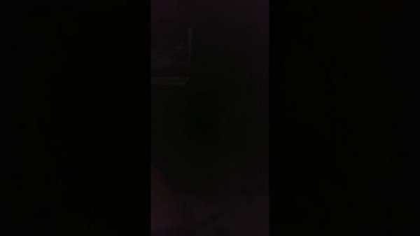 Linux (Snakeoil OS) + Metrum Octave 1 + DIY speakers