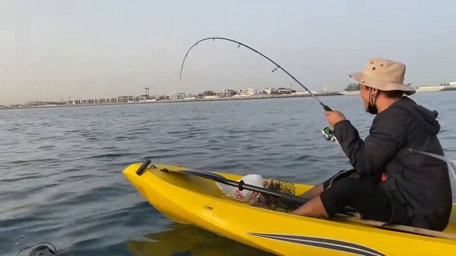 King ? D | Lamer Dubai | Kayak Fishing смотреть онлайн