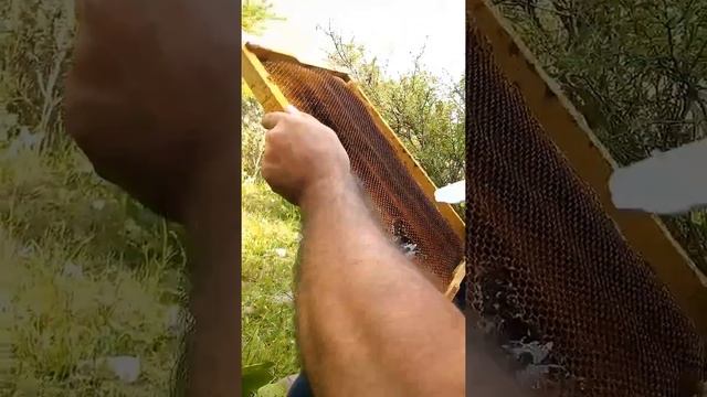 Вот как надо кушать мёд смотреть онлайн