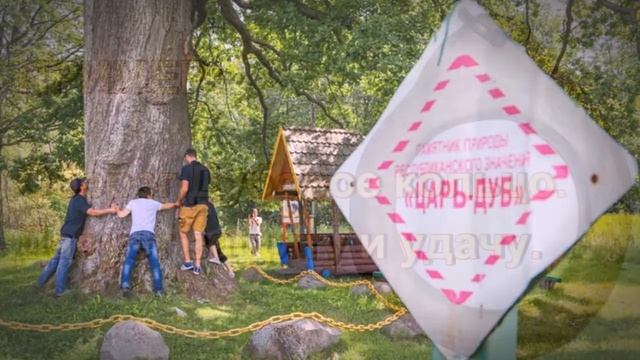 Талисманы из Дуба/Дуб как материал для Талисманов и Оберегов смотреть онлайн