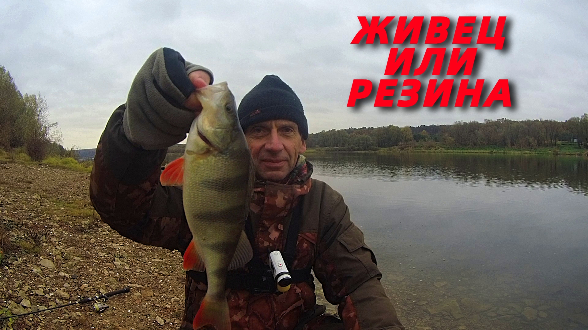 На резину лучше, чем на живца. Донки и спиннинг. Рыбалка на Оке в октябре. смотреть онлайн