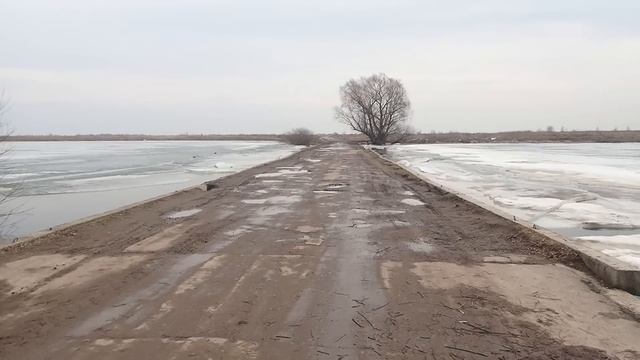 В поисках металла, дальше асфальта не уехать смотреть онлайн