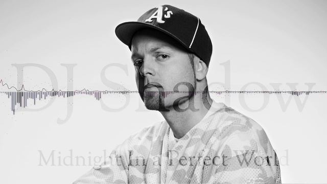 DJ Shadow - Midnight In A Perfect World