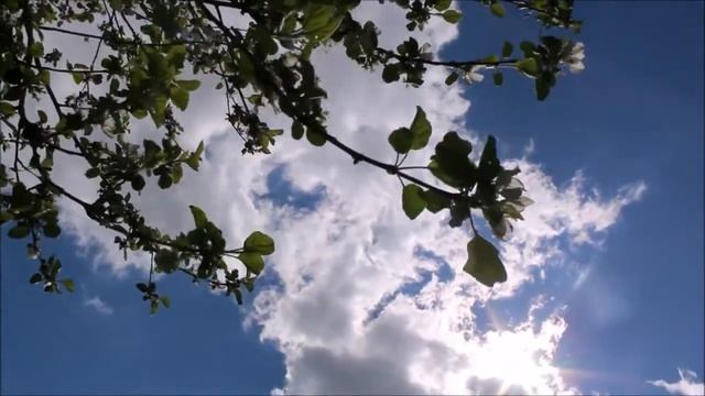 Подарок выпускникам школы от родителей. Выпуск 2020. Новое Акшино смотреть онлайн