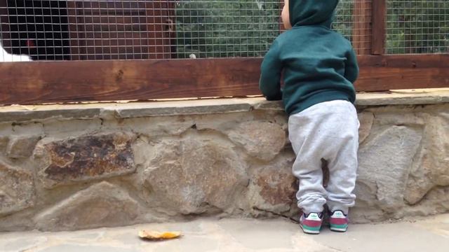 TRAVEL BLOG☘️: ПАРК ЛОГА / 120 км от Ростова / НикОль.TV❤️ смотреть онлайн