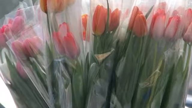 Цветочный бум смотреть онлайн