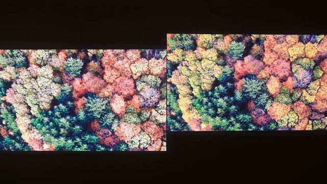 XGIMI MoGo 2 Pro Vs Elfin Picture Comparison