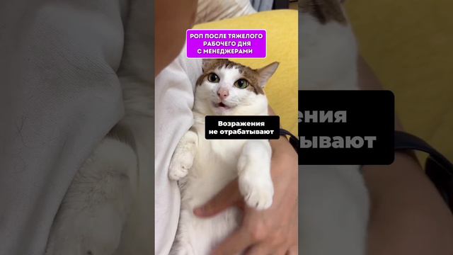 LOCARDS 🚀 смотреть онлайн